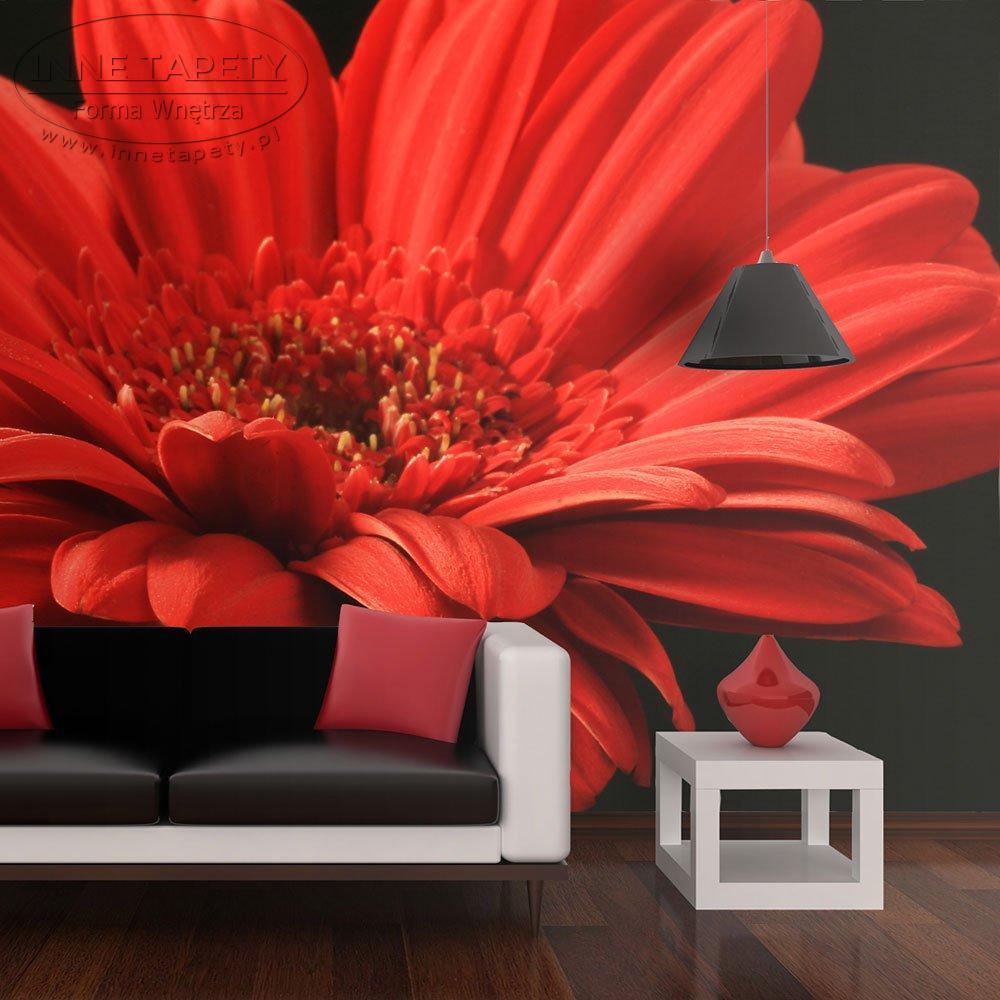Тюльпаны гербера. Красный цветок. Большой красный цветок. Фотообои с большими цветами. Красные фотообои на стену.