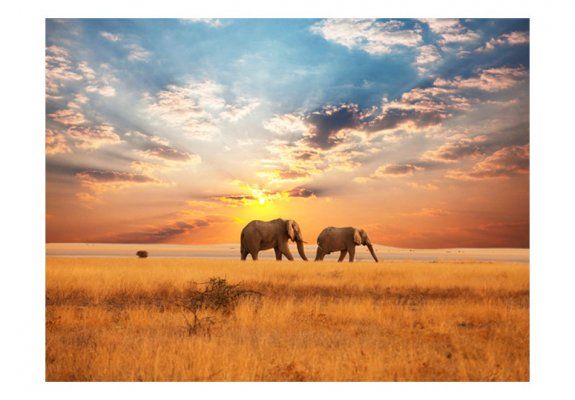 Fototapeta - Słonie na afrykańskiej sawannie