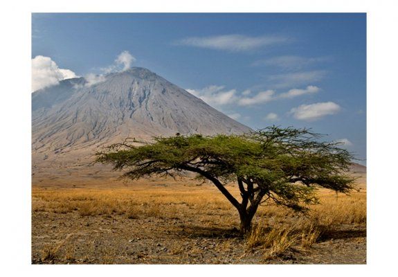 Fototapeta - Wulkan Ol Doinyo Lengai - Tanzania, Afryka