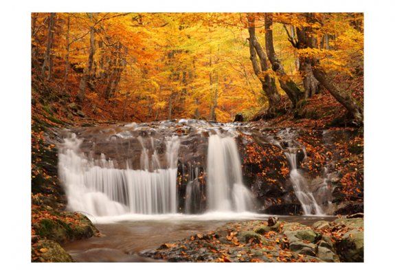 Fototapeta - Autumn landscape : waterfall in forest