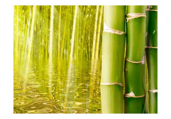 Fototapeta - Egzotyczny klimat - bambus