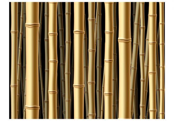 Fototapeta - Bamboo - stems