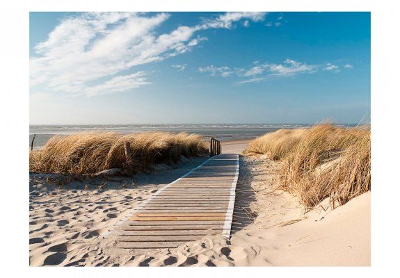 Fototapeta - Plaża Morza Północnego, Langeoog