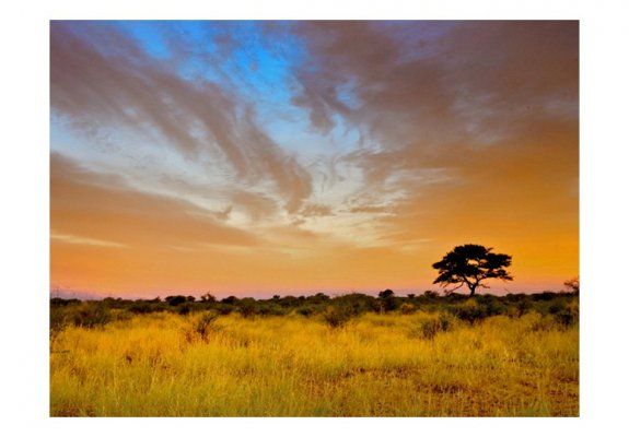 Fototapeta - South African sunset