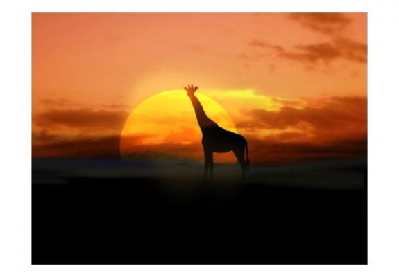 Fototapeta - Żyrafa na tle zachodzącego słońca