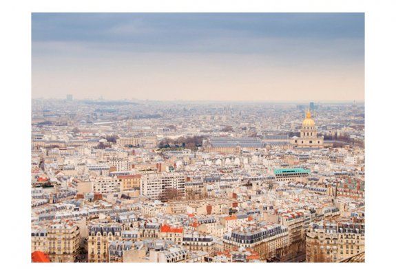 Fototapeta - Paryż - widok z lotu ptaka
