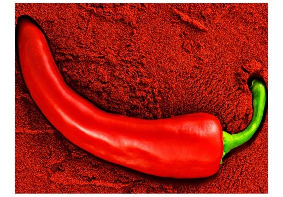 Fototapeta - Red hot chili pepper