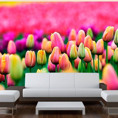 Fototapeta - Pole tulipanów