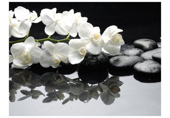 Fototapeta - SPA, kamienie i orchidea