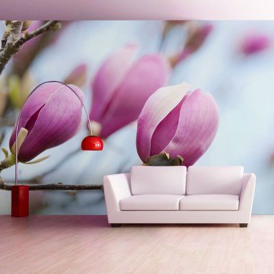 Fototapeta - wiosna - magnolia