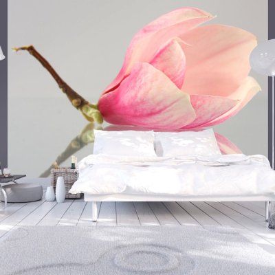 Fototapeta - Samotny kwiat magnolii