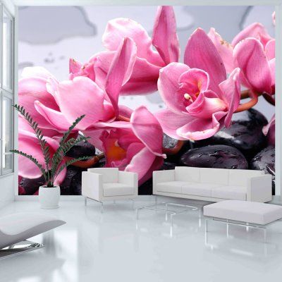 Fototapeta - Kwiaty orchidei i kamienie zen