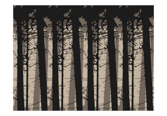Fototapeta - Shadows of trees