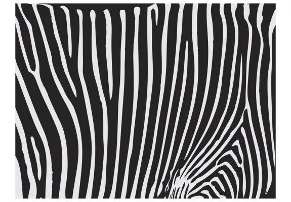 Fototapeta - Zebra pattern (czarno-biały)