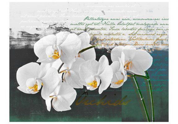 Fototapeta - Orchidea - inspiracja poety