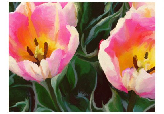 Fototapeta - tulipany - duet