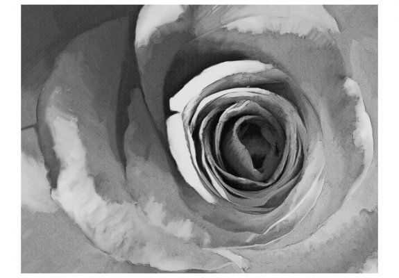 Fototapeta - Papierowa róża