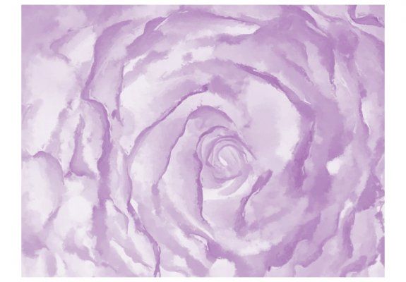 Fototapeta - róża (różowy)