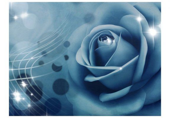 Fototapeta - Blue rose
