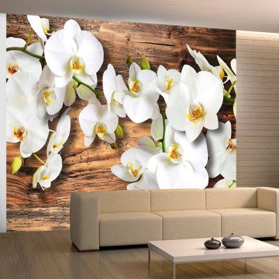 Fototapeta - Śnieżnobiałe orchidee