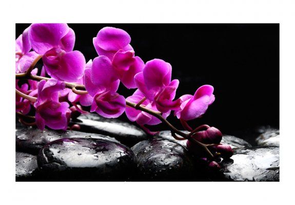 Fototapeta - Chwila relaksu: orchidea i kamienie zen