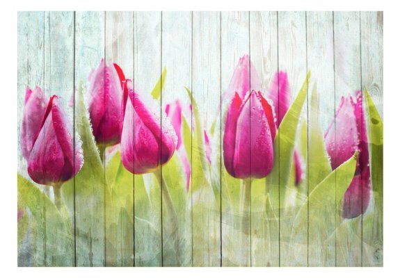 Fototapeta - Tulipany na białym drewnie