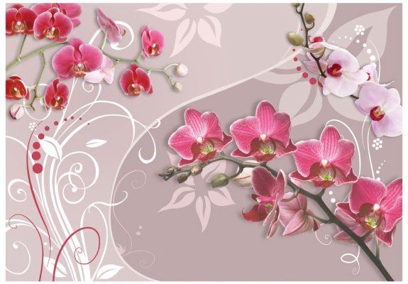 Fototapeta - Lot różowych orchidei