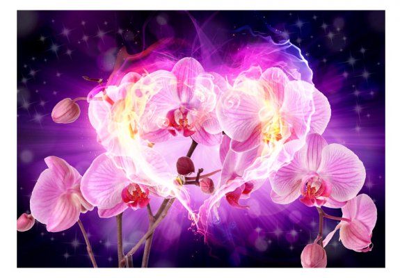 Fototapeta - Orchidee w płomieniach