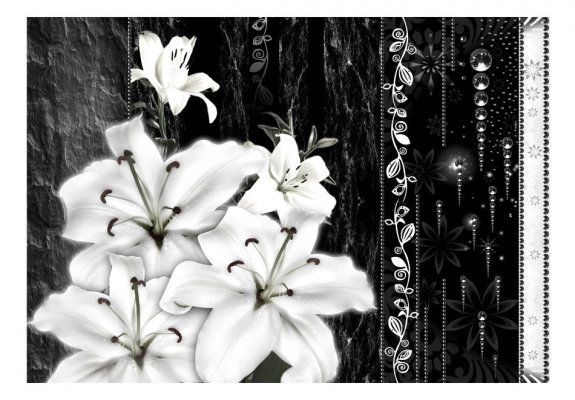 Fototapeta - Płaczące lilie