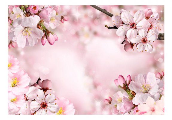 Fototapeta - Wiosenny kwiat wiśni