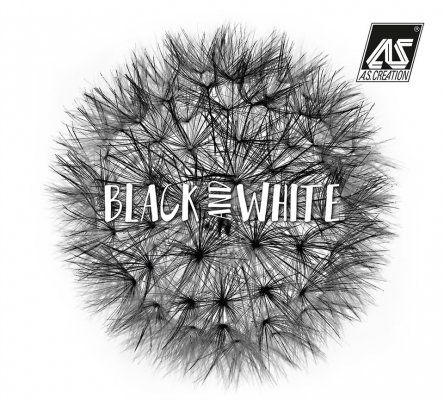 Grafika producenta BLACK AND WHITE 3