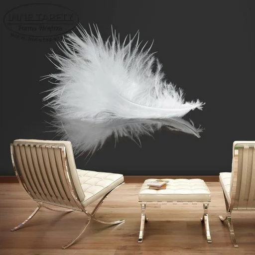 Fototapeta - White feather