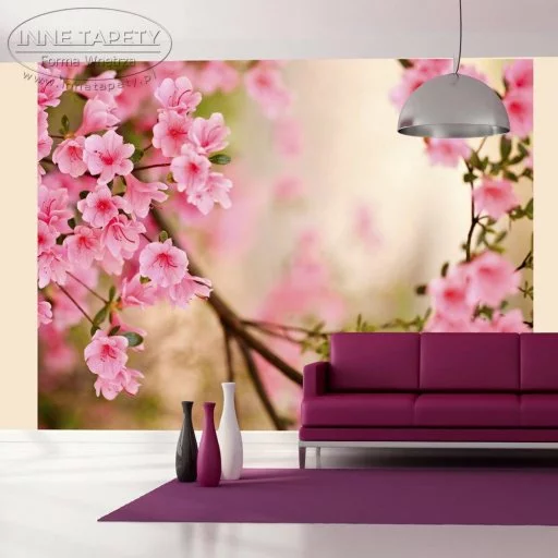 Fototapeta - Pink azalea