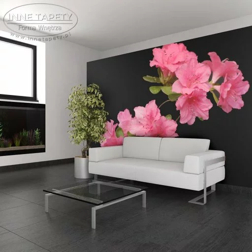 Fototapeta - Azalea in Black