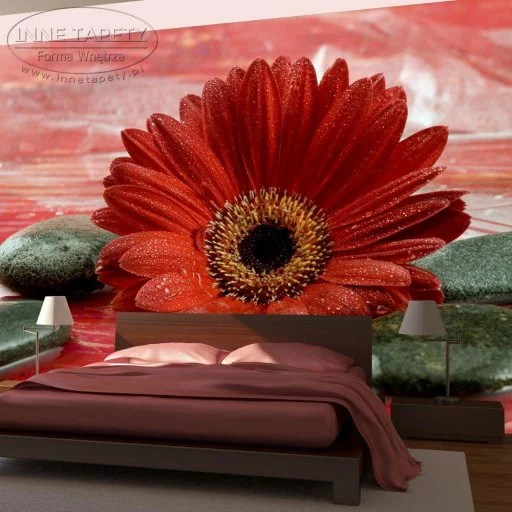 Fototapeta - Gerbera, kamienie i zen