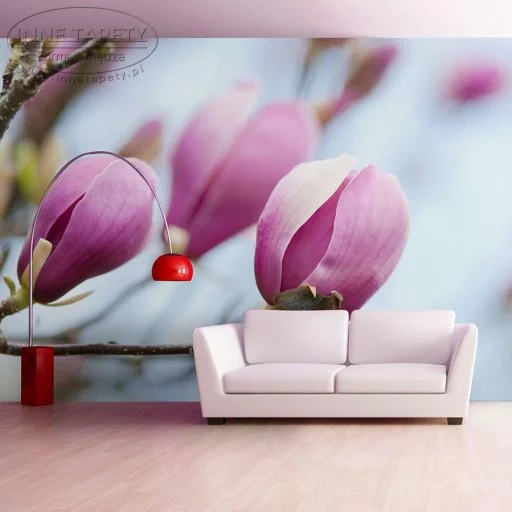 Fototapeta - wiosna - magnolia