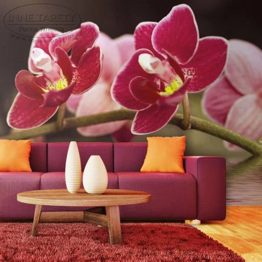 Fototapeta - Delikatne orchidee na wodzie