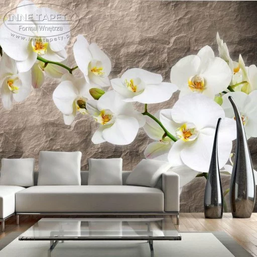 Fototapeta - Nieskazitelność orchidei